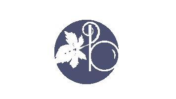 logo violet